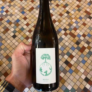 Morillon vom Opok - Weingut Werlitsch - ewald-brigitte-tscheppe