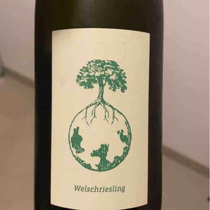 Weingut Werlitsch - Ewald & Brigitte Tscheppe - Morillon vom Opok