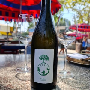 Morillon vom Opok - Weingut Werlitsch - Ewald & Brigitte Tscheppe 