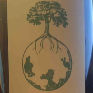 Weingut Werlitsch - Ewald & Brigitte Tscheppe - Morillon vom Opok