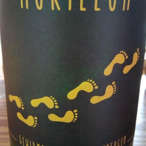 Morillon - Weingut Rebenhof - Hartmut Aubell 