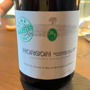 Morjon « Côte Du Pu » - Domaine des Roches du Py - guenael-jambon