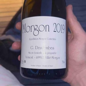 Morgon - Georges Descombes - georges-descombes