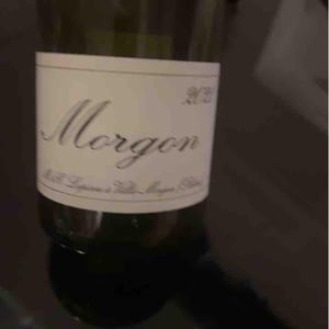 Morgon - Domaine Marcel Lapierre - mathieu-camille-lapierre