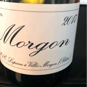 Domaine Marcel Lapierre - Mathieu & Camille Lapierre - Morgon