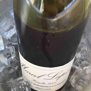Domaine Marcel Lapierre - Mathieu & Camille Lapierre - Morgon