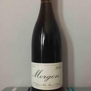 Morgon - Domaine Marcel Lapierre - mathieu-camille-lapierre
