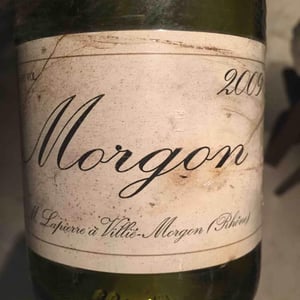 Domaine Marcel Lapierre - Mathieu & Camille Lapierre - Morgon