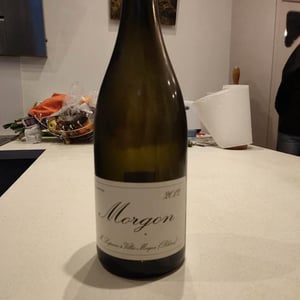 Domaine Marcel Lapierre - Mathieu & Camille Lapierre - Morgon
