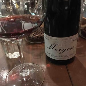 Domaine Marcel Lapierre - Mathieu & Camille Lapierre - Morgon