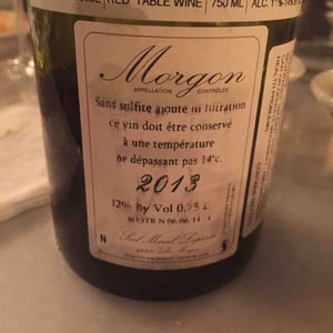 Domaine Marcel Lapierre - Mathieu & Camille Lapierre - Morgon