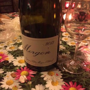Morgon - Domaine Marcel Lapierre - mathieu-camille-lapierre