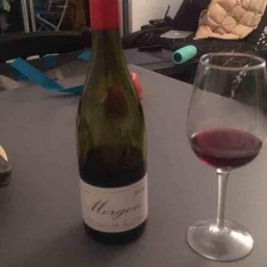 Domaine Marcel Lapierre - Mathieu & Camille Lapierre - Morgon