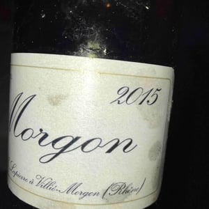 Morgon - Domaine Marcel Lapierre - mathieu-camille-lapierre