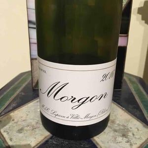 Morgon - Domaine Marcel Lapierre - mathieu-camille-lapierre
