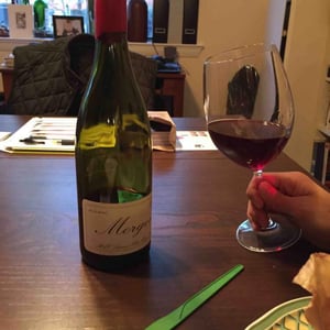 Morgon - Domaine Marcel Lapierre - mathieu-camille-lapierre