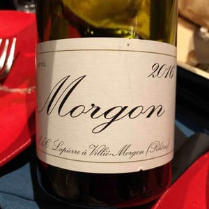 Morgon - Domaine Marcel Lapierre - mathieu-camille-lapierre