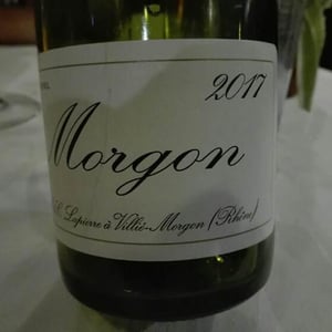 Morgon - Domaine Marcel Lapierre - mathieu-camille-lapierre