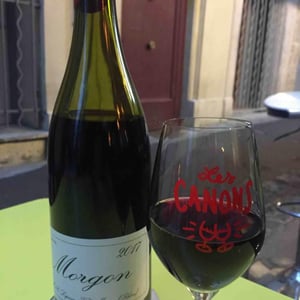Domaine Marcel Lapierre - Mathieu & Camille Lapierre - Morgon
