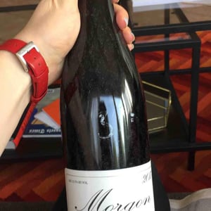 Morgon - Domaine Marcel Lapierre - mathieu-camille-lapierre