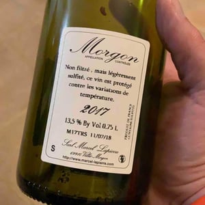 Morgon - Domaine Marcel Lapierre - mathieu-camille-lapierre