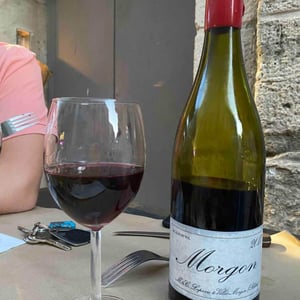 Morgon - Domaine Marcel Lapierre - mathieu-camille-lapierre