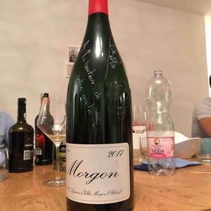 Domaine Marcel Lapierre - Mathieu & Camille Lapierre - Morgon