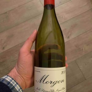 Morgon - Domaine Marcel Lapierre - mathieu-camille-lapierre