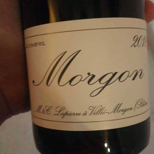 Domaine Marcel Lapierre - Mathieu & Camille Lapierre - Morgon