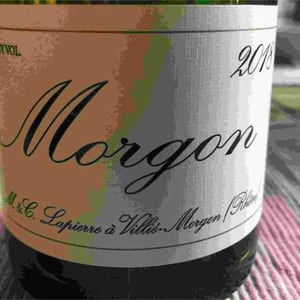 Domaine Marcel Lapierre - Mathieu & Camille Lapierre - Morgon