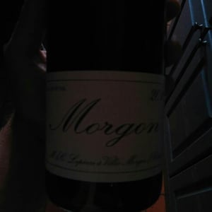 Morgon - Domaine Marcel Lapierre - mathieu-camille-lapierre