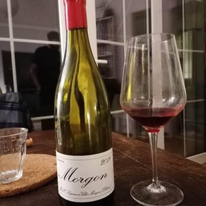 Domaine Marcel Lapierre - Mathieu & Camille Lapierre - Morgon