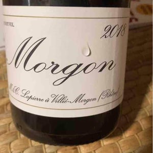 Morgon - Domaine Marcel Lapierre - mathieu-camille-lapierre