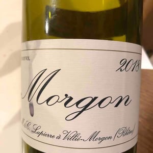 Morgon - Domaine Marcel Lapierre - mathieu-camille-lapierre