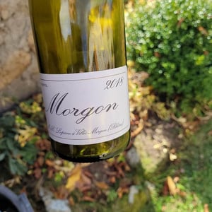 Morgon - Domaine Marcel Lapierre - mathieu-camille-lapierre