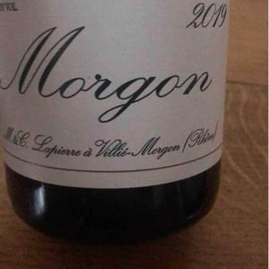 Morgon - Domaine Marcel Lapierre - mathieu-camille-lapierre