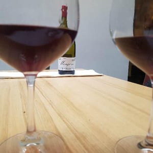 Domaine Marcel Lapierre - Mathieu & Camille Lapierre - Morgon