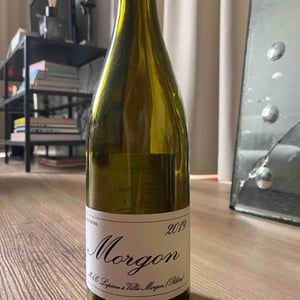 Domaine Marcel Lapierre - Mathieu & Camille Lapierre - Morgon
