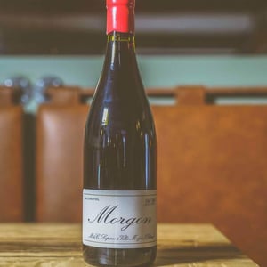 Morgon - Domaine Marcel Lapierre - mathieu-camille-lapierre
