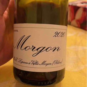 Morgon - Domaine Marcel Lapierre - mathieu-camille-lapierre