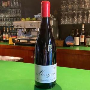 Morgon - Domaine Marcel Lapierre - mathieu-camille-lapierre