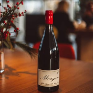 Morgon - Domaine Marcel Lapierre - mathieu-camille-lapierre