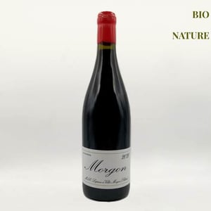 Morgon - Domaine Marcel Lapierre - Mathieu & Camille Lapierre 