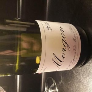 Domaine Marcel Lapierre - Mathieu & Camille Lapierre - Morgon