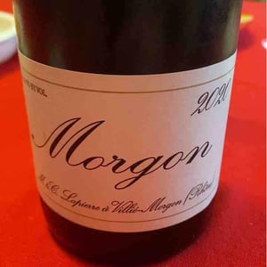 Morgon - Domaine Marcel Lapierre - mathieu-camille-lapierre