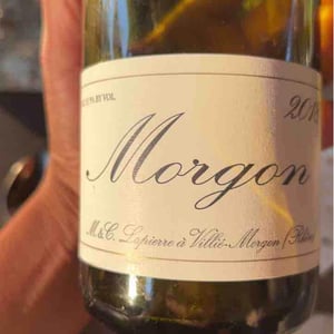 Domaine Marcel Lapierre - Mathieu & Camille Lapierre - Morgon