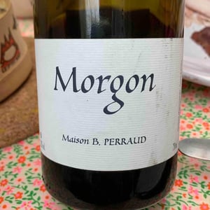 Morgon - Côtes de la Molière - Isabelle & Bruno Perraud 
