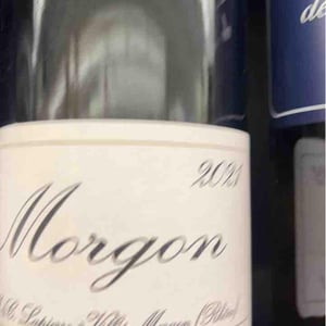 Domaine Marcel Lapierre - Mathieu & Camille Lapierre - Morgon