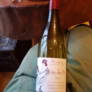 Morgon Côte du Py - Damien Coquelet - damien-coquelet