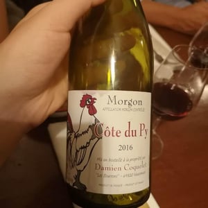 Morgon Côte du Py - Damien Coquelet - Damien Coquelet 